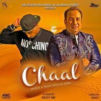 Rahat Fateh Ali Khan mp3 songs download,Rahat Fateh Ali Khan Albums and top 20 songs download