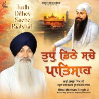 Bhai Makhan Singh Ji mp3 songs download,Bhai Makhan Singh Ji Albums and top 20 songs download