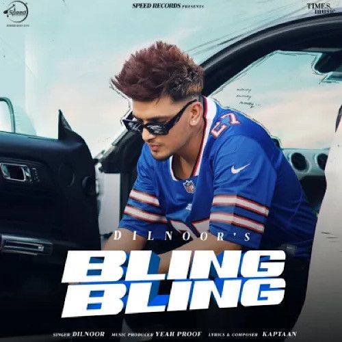 Download Bling Bling Dilnoor mp3 song