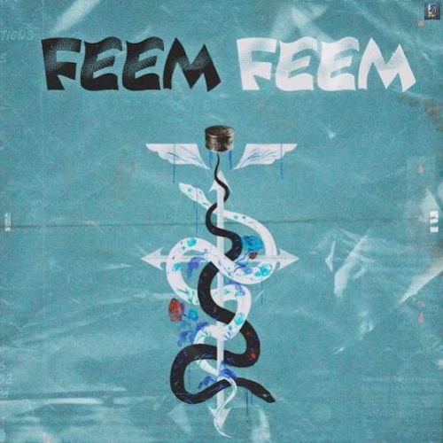 Download Feem Feem Sardar Khehra mp3 song, Feem Feem Sardar Khehra full album download