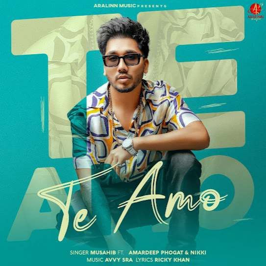 Musahib mp3 songs download,Musahib Albums and top 20 songs download