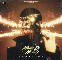 Download Mann Di Ni Zehr Vibe mp3 song