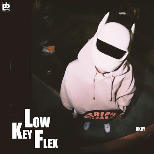 Download Lowkey Flex A Kay mp3 song, Lowkey Flex A Kay full album download