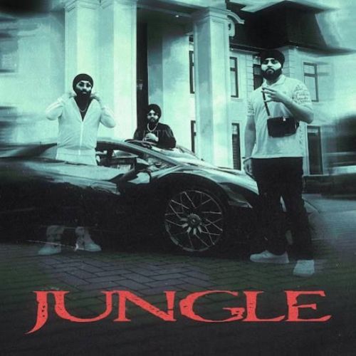 Download Jungle Inderpal Moga, Chani Nattan mp3 song, Jungle Inderpal Moga, Chani Nattan full album download