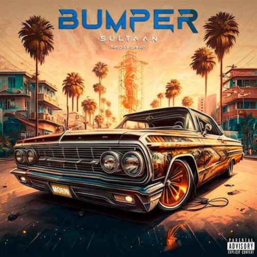 Download Bumper Sultaan mp3 song, Bumper Sultaan full album download