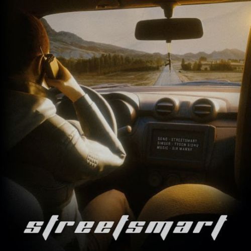 Download Street Smart Tyson Sidhu mp3 song, Street Smart Tyson Sidhu full album download