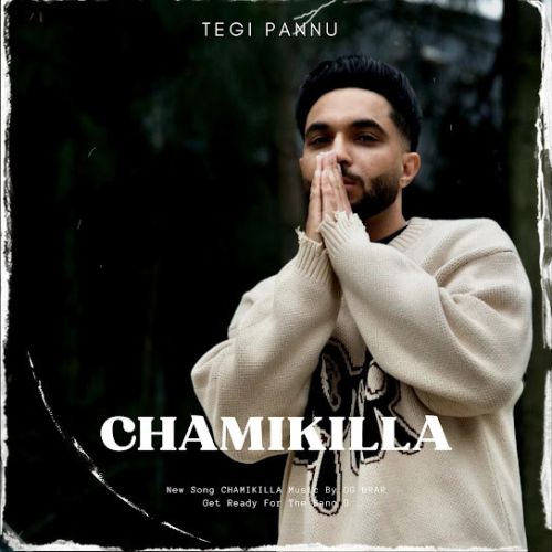 Download Chamikilla Tegi Pannu mp3 song, Chamikilla Tegi Pannu full album download