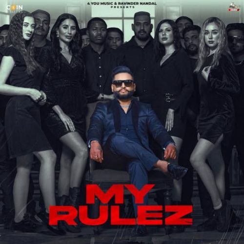 Download My Rulez DJ Flow mp3 song, My Rulez DJ Flow full album download