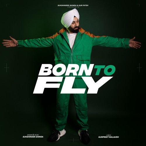 Download Born To Fly Sukshinder Shinda mp3 song, Born To Fly Sukshinder Shinda full album download