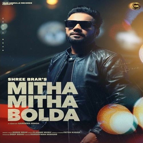 Download Mitha Mitha Bolda Shree Brar mp3 song, Mitha Mitha Bolda Shree Brar full album download
