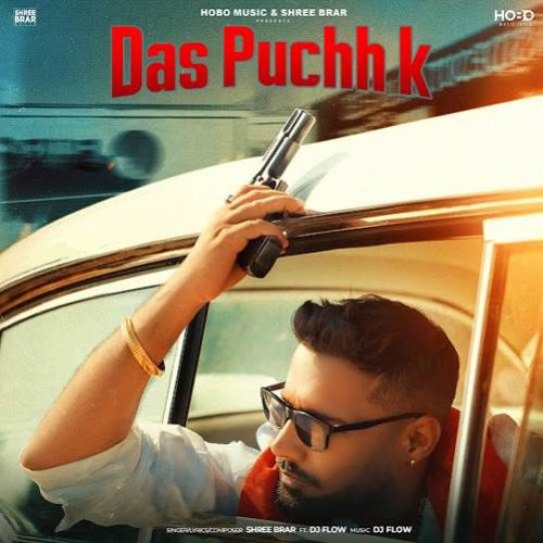 Download Das Puchh K Shree Brar mp3 song, Das Puchh K Shree Brar full album download