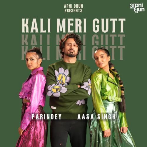 Download Kali Meri Gutt Parindey, Aasa Singh mp3 song, Kali Meri Gutt Parindey, Aasa Singh full album download