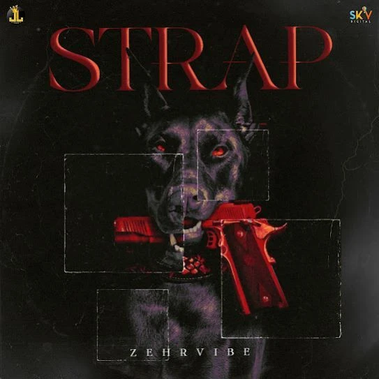 Download STRAP Zehr Vibe mp3 song