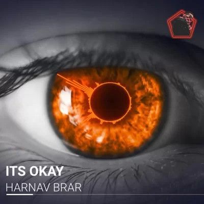 Download Its Okay Harnav Brar mp3 song, Its Okay Harnav Brar full album download