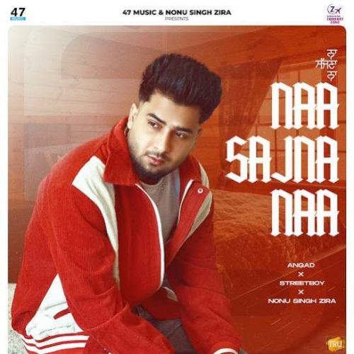 Download Naa Sajna Naa Angad mp3 song, Naa Sajna Naa Angad full album download