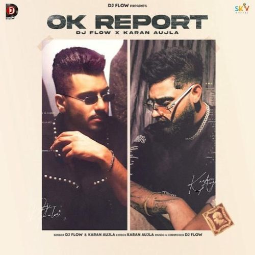 Download Ok Report DJ Flow mp3 song, Ok Report DJ Flow full album download