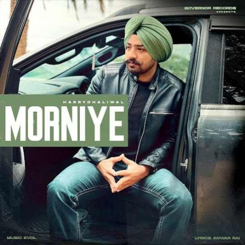 Download Morniye Harry Dhaliwal mp3 song, Morniye Harry Dhaliwal full album download