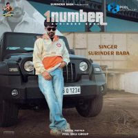 Surinder Baba mp3 songs download,Surinder Baba Albums and top 20 songs download