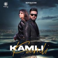 Falak Shabbir mp3 songs download,Falak Shabbir Albums and top 20 songs download