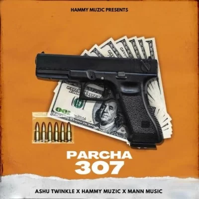 Download Parcha 307 Hammy Muzic, Ashu Twinkle mp3 song, Parcha 307 Hammy Muzic, Ashu Twinkle full album download