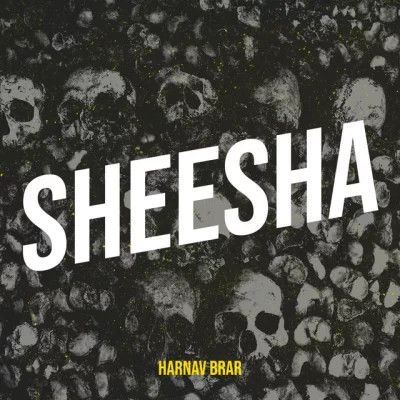 Download Sheesha Harnav Brar mp3 song, Sheesha Harnav Brar full album download