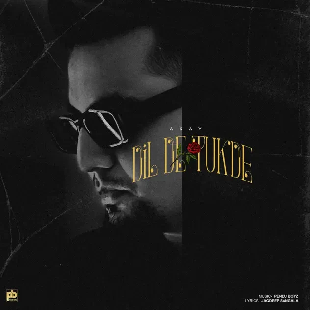 Download Dil De Tukde A Kay mp3 song, Dil De Tukde A Kay full album download