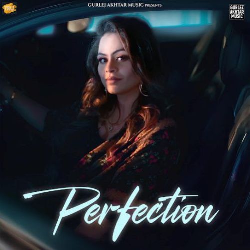 Download Perfection Gurlez Akhtar mp3 song, Perfection Gurlez Akhtar full album download