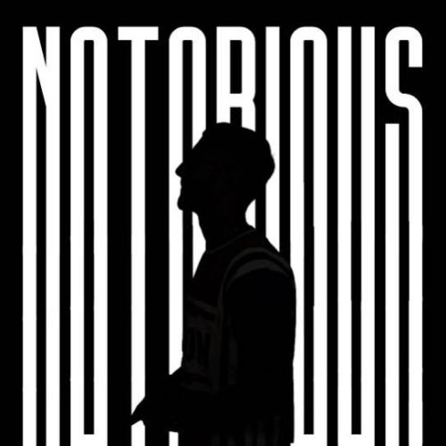Notorious By Sultaan full mp3 album