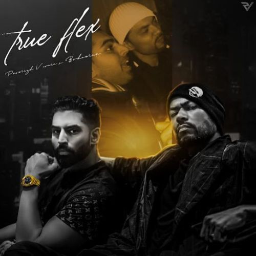 Download True Flex Parmish Verma mp3 song, True Flex Parmish Verma full album download