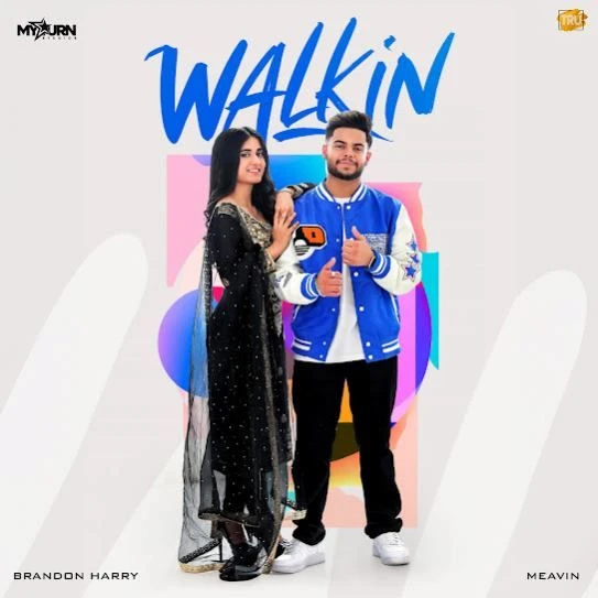 Download Walkin Brandon Harry mp3 song