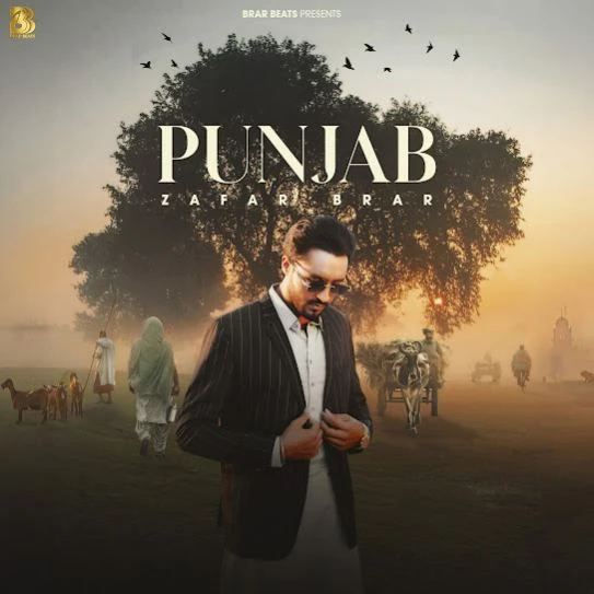 Download Punjab Zafar Brar mp3 song