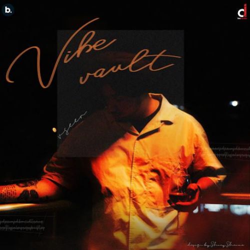 Vibe Vault By Vseer full mp3 album