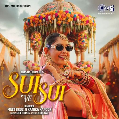 Download Sui Ve Sui Meet Bros, Kanika Kapoor mp3 song, Sui Ve Sui Meet Bros, Kanika Kapoor full album download