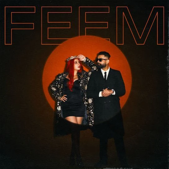 Download FEEM Jasmine Sandlas mp3 song