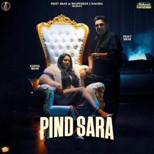 Download Pind Sara Preet Brar mp3 song