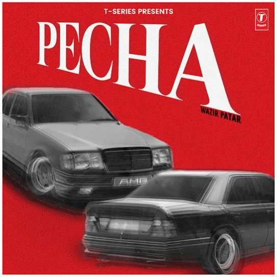 Download Pecha Wazir Patar mp3 song