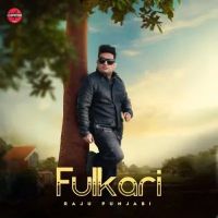 Fulkari Raju Punjabi mp3 song download