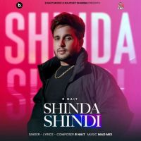 Download Shinda Shindi R. Nait mp3 song, Shinda Shindi R. Nait full album download