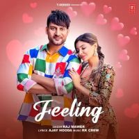 Download Feeling Raj Mawer mp3 song, Feeling Raj Mawer full album download