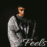 Download Feels Gurinder Gill mp3 song, Feels Gurinder Gill full album download