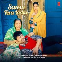 Download Saasu Tera Ladla Surender Romio, Renuka Panwar mp3 song, Saasu Tera Ladla Surender Romio, Renuka Panwar full album download