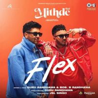 Guru Randhawa mp3 songs download,Guru Randhawa Albums and top 20 songs download