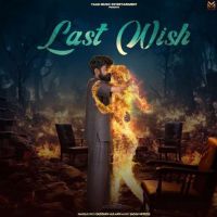 Gustakh Aulakh mp3 songs download,Gustakh Aulakh Albums and top 20 songs download
