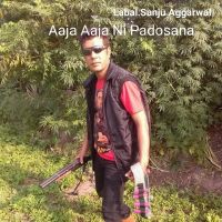 Download Aaja Aaja Ni Padosana Surinder Aggarwal mp3 song, Aaja Aaja Ni Padosana Surinder Aggarwal full album download
