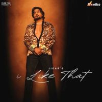 Jigar mp3 songs download,Jigar Albums and top 20 songs download