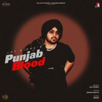 Download Punjab Blood Jot Sidhu mp3 song, Punjab Blood Jot Sidhu full album download