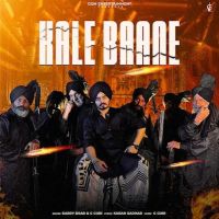 Karry Brar mp3 songs download,Karry Brar Albums and top 20 songs download