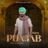 Ravinder Grewal mp3 songs download,Ravinder Grewal Albums and top 20 songs download