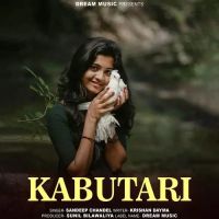 Download Kabutari Sandeep Chandel mp3 song, Kabutari Sandeep Chandel full album download
