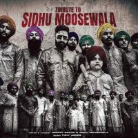 Download Tribute To Sidhu Moosewala Emiway Bantai, Sidhu Moosewala mp3 song, Tribute To Sidhu Moosewala Emiway Bantai, Sidhu Moosewala full album download